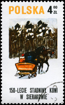 波蘭大約1980的雪橇