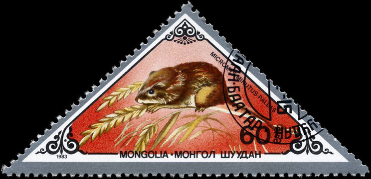 蒙古大約1983的鼠標(biāo)