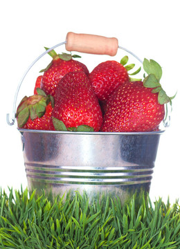 桶中的Strawberry