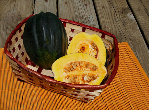 Fresh Acorn壁球