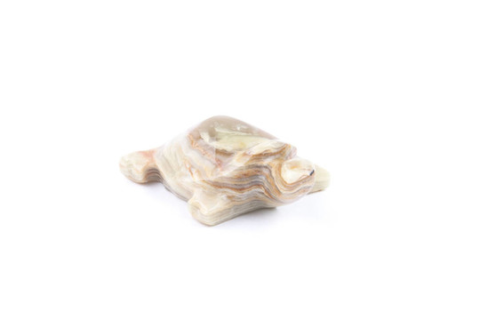 烏龜?shù)裣? style=