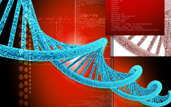 DNA