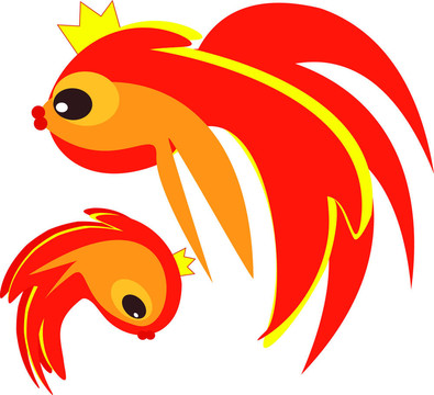 金魚在白色的