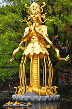 圣潔女神時期洼