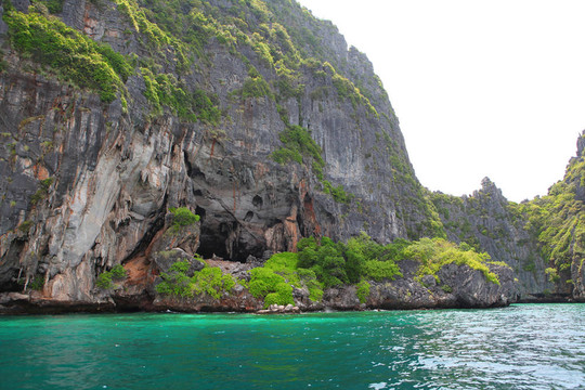 苯丙氨酸Phe島