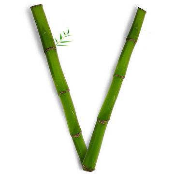 一個(gè)大寫字母的竹字母與陰影超過(guò)白色