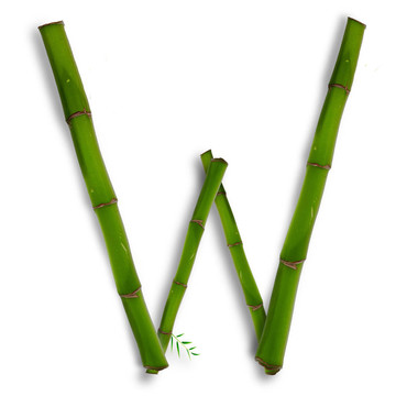 一個(gè)大寫字母的竹字母與陰影超過(guò)白色