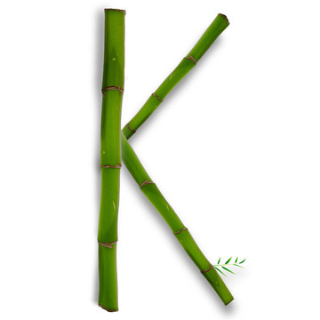 一個大寫字母的竹字母與陰影超過白色