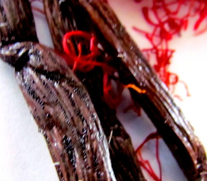 抽象模糊：Vanilla Pods