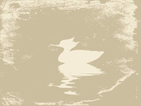 鴨在水上垃圾背景；圖