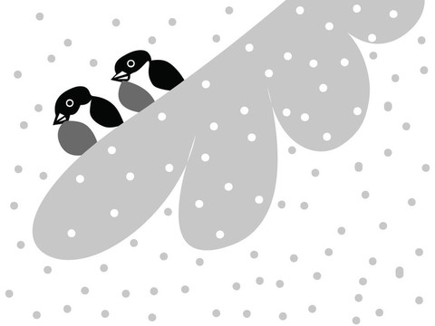 雪上分兩紅腹灰雀；圖