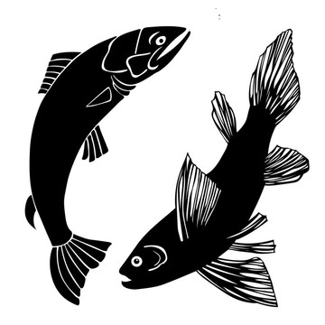 白底魚集；圖