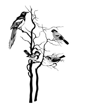 白色背景上的鳥類剪影；插圖