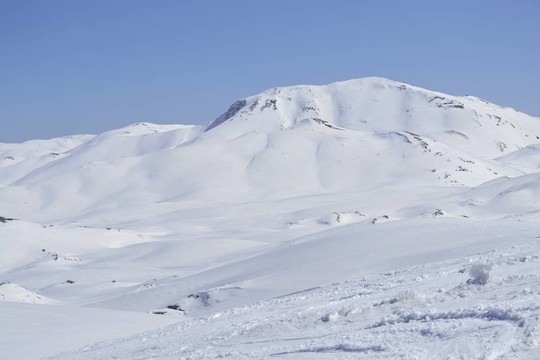 高高的山上