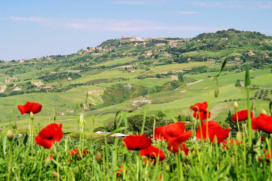 Volterra 01