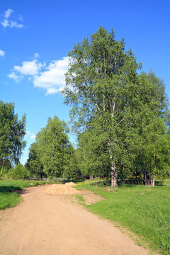 綠樹路