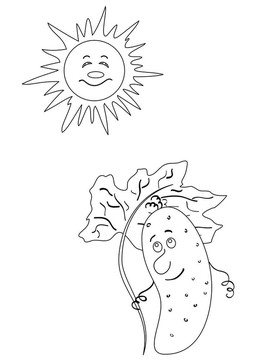 黃瓜和太陽；輪廓