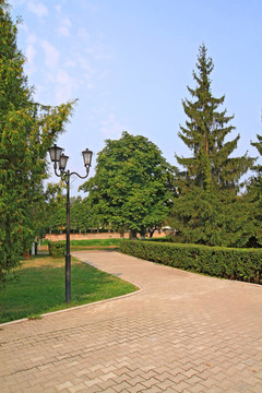 巷鎮(zhèn)公園內(nèi)樹