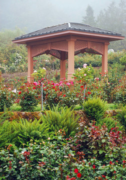 花園露臺(tái)