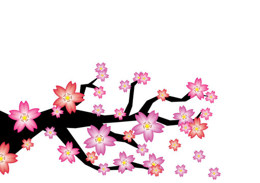 櫻花樹枝