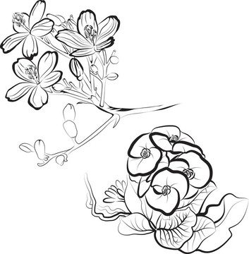 花藝設計元素