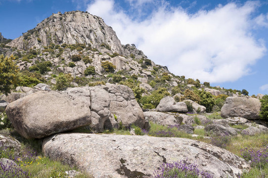 Pico de la蜂蜜（蜂蜜峰）