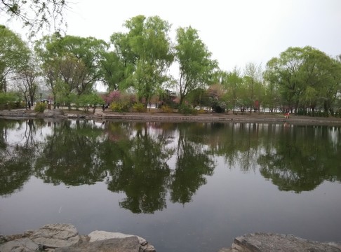 玉淵潭公園