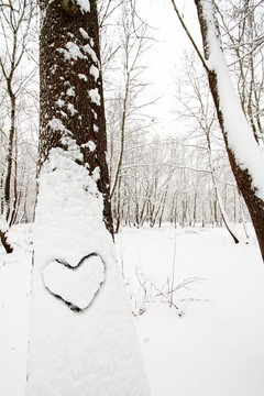 雪樹上的心形