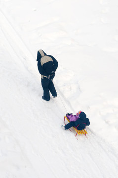 雪橇在雪中