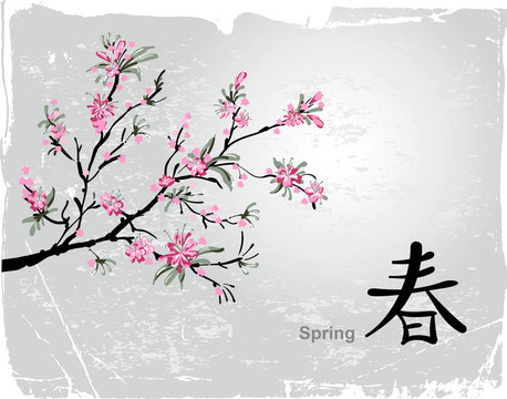 櫻花綻放