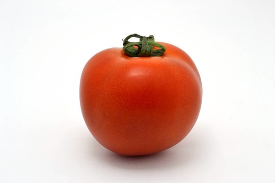 新鮮的tomatto