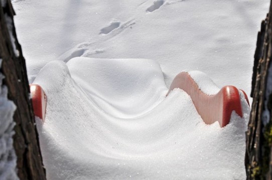雪滑