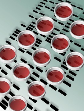 DNA指紋圖譜