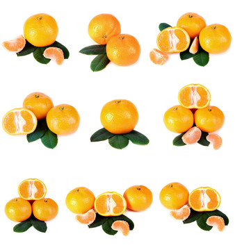 Tangerine夜店有綠色的葉子