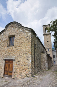 圣弗朗西斯科教堂。巴迪。Emilia Romagna。意大利.
