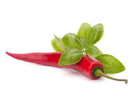Chili pepper與香料藥草