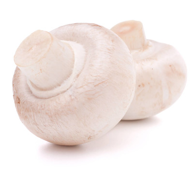 香菇蘑菇