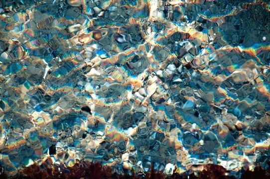 水族背景