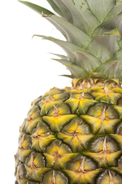 菠蘿