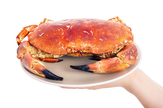 整蟹