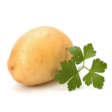 新土豆綠歐芹