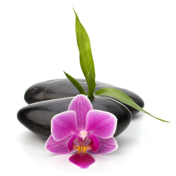 水療與保健概念。蘭花與石頭。