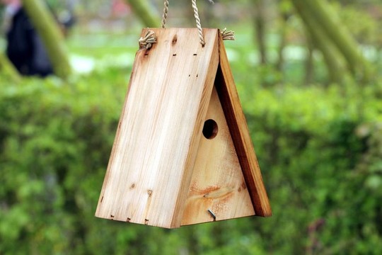 木制鳥(niǎo)屋