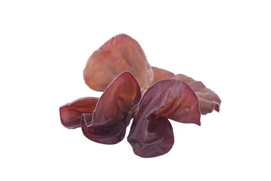學名Auricularia auricula Judae