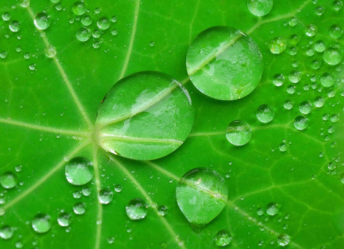 水滴