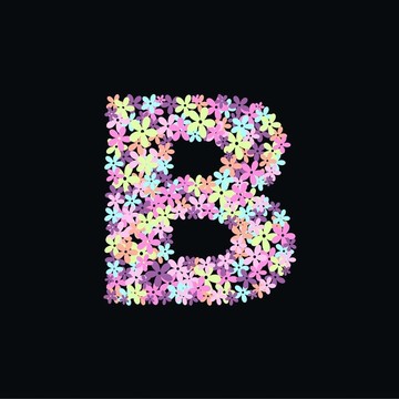 字母B