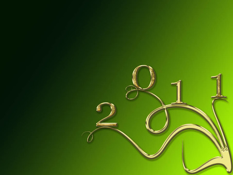 新的一年2011
