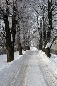 積雪的路上