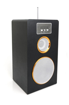 MP3播放器和調(diào)頻收音機(jī)