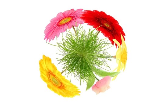 花